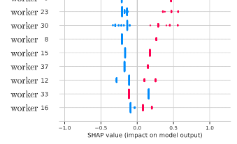 shapley values for workers